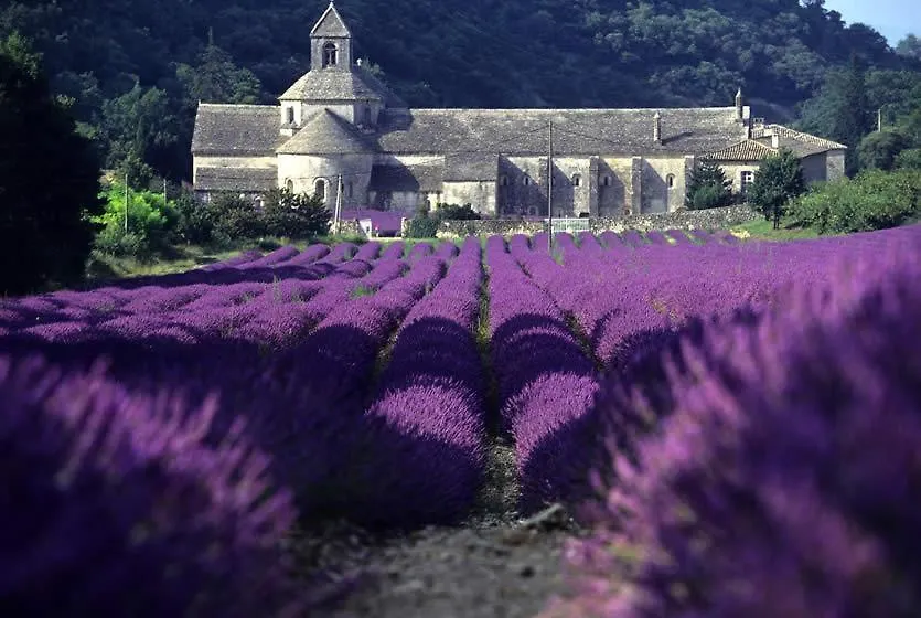 Gîte Hanna en Luberon - Le Boisset de St Martin de Castillon Saint-Martin-de-Castillon 0*,  France